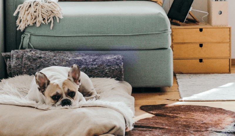 Understanding Tenant Needs In 2022
